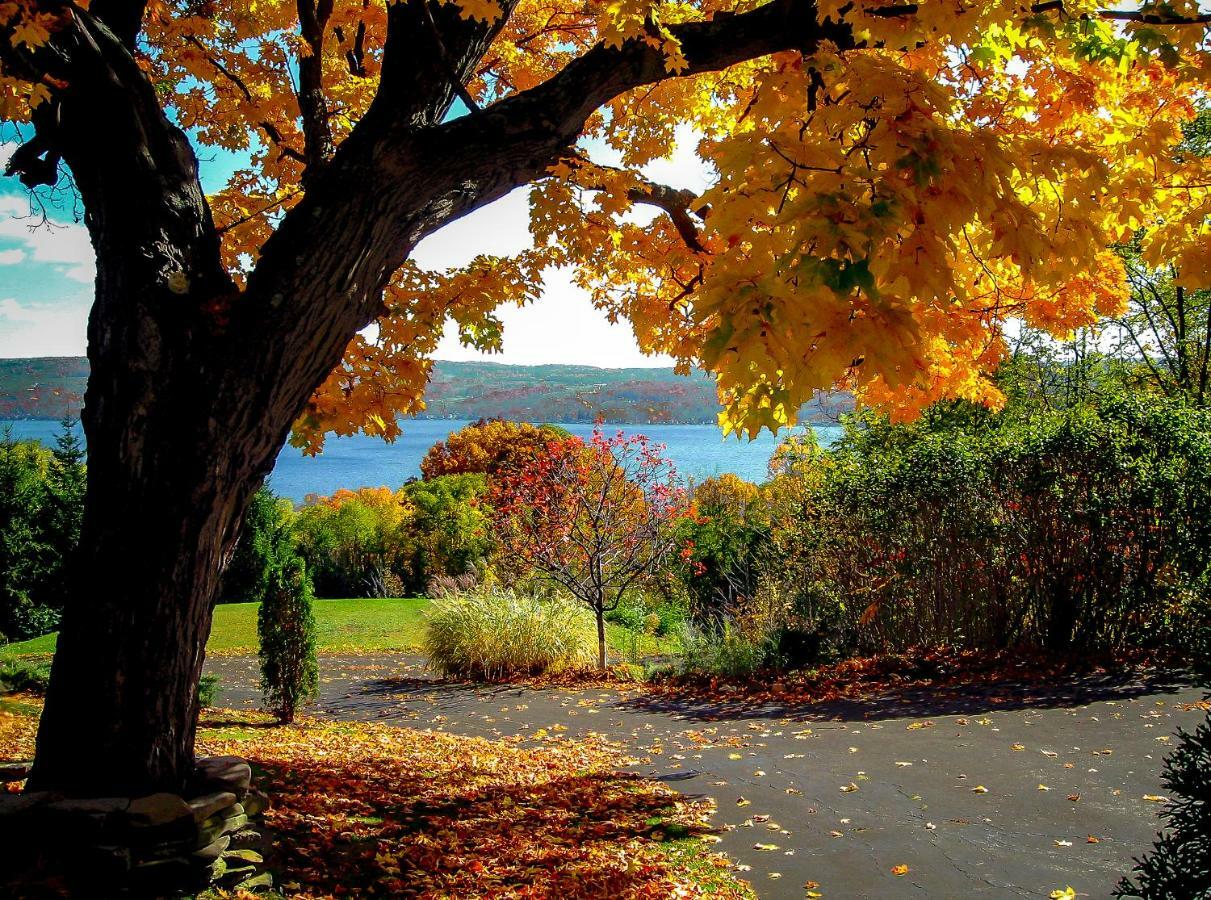Moonshadow B&B Hammondsport Exterior foto